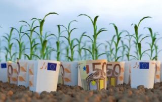 Agriculture biologique : les retards de paiement des aides bientôt rattrapés ?