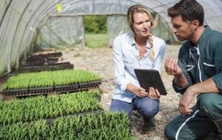 Un report du paiement des cotisations sociales pour les agriculteurs