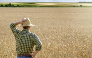 Droit de préemption du fermier en cas de vente d’un terrain agricole