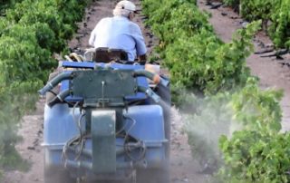Glyphosate : les interdictions et les restrictions d’usage précisées