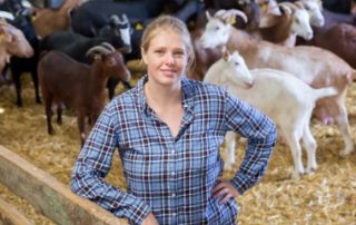 Continuation du bail rural par un seul des colocataires : gare au formalisme !