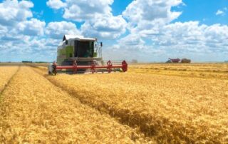 Exploitants agricoles : le calendrier de versement des aides Pac 2025